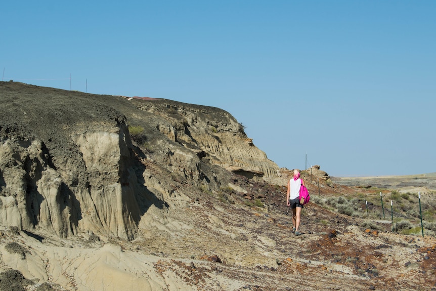 Woman with pink hair walking next to fossil site in North Dakota