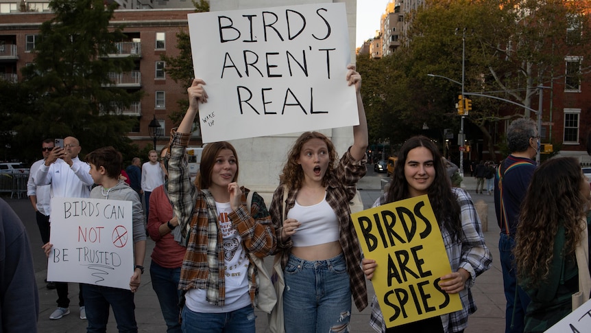 Three young girls hold signs in a protest that read "bird's aren't real", "birds are spies", and "birds can not be trusted". 