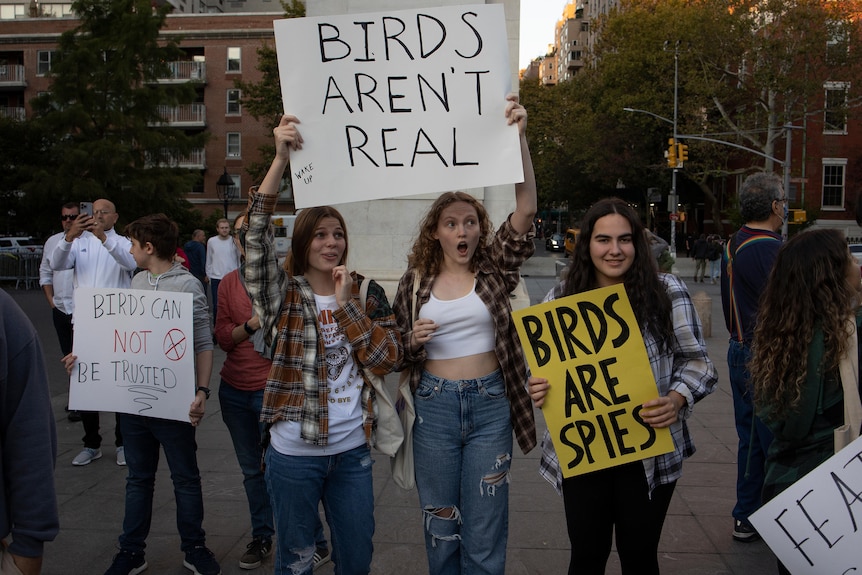 Three young girls hold signs in a protest that read "bird's aren't real", "birds are spies", and "birds can not be trusted". 