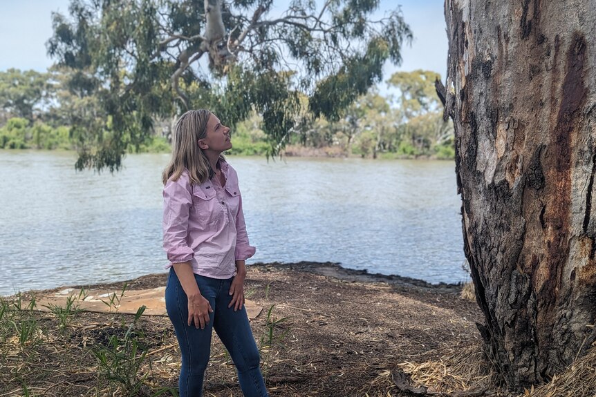 A smiling blonde woman, Alex, smiles, at an old gum tree.
