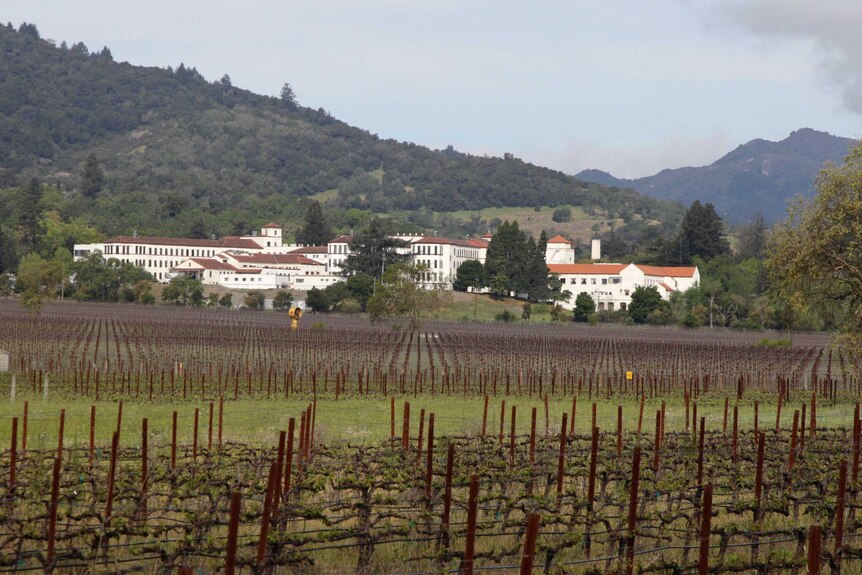 Vineyards are shown in front of the Veterans Home of California in Yountville.