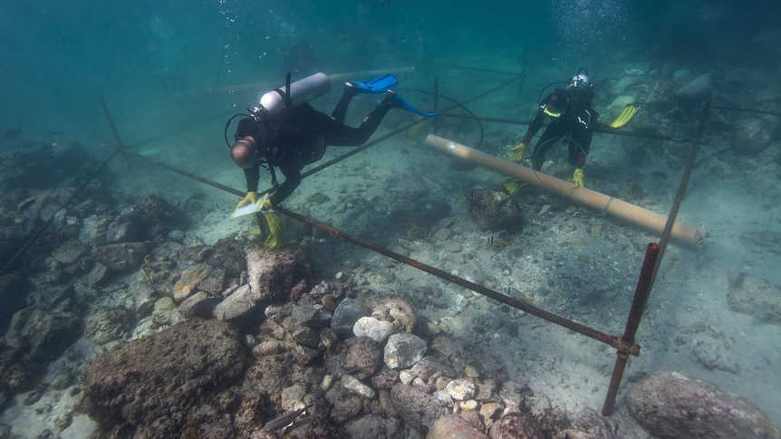 Archaeologists excavate the wreckage of the Esmeralda.