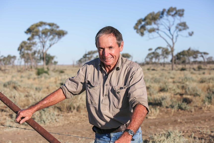 A man leans on a fence in a dry paddock