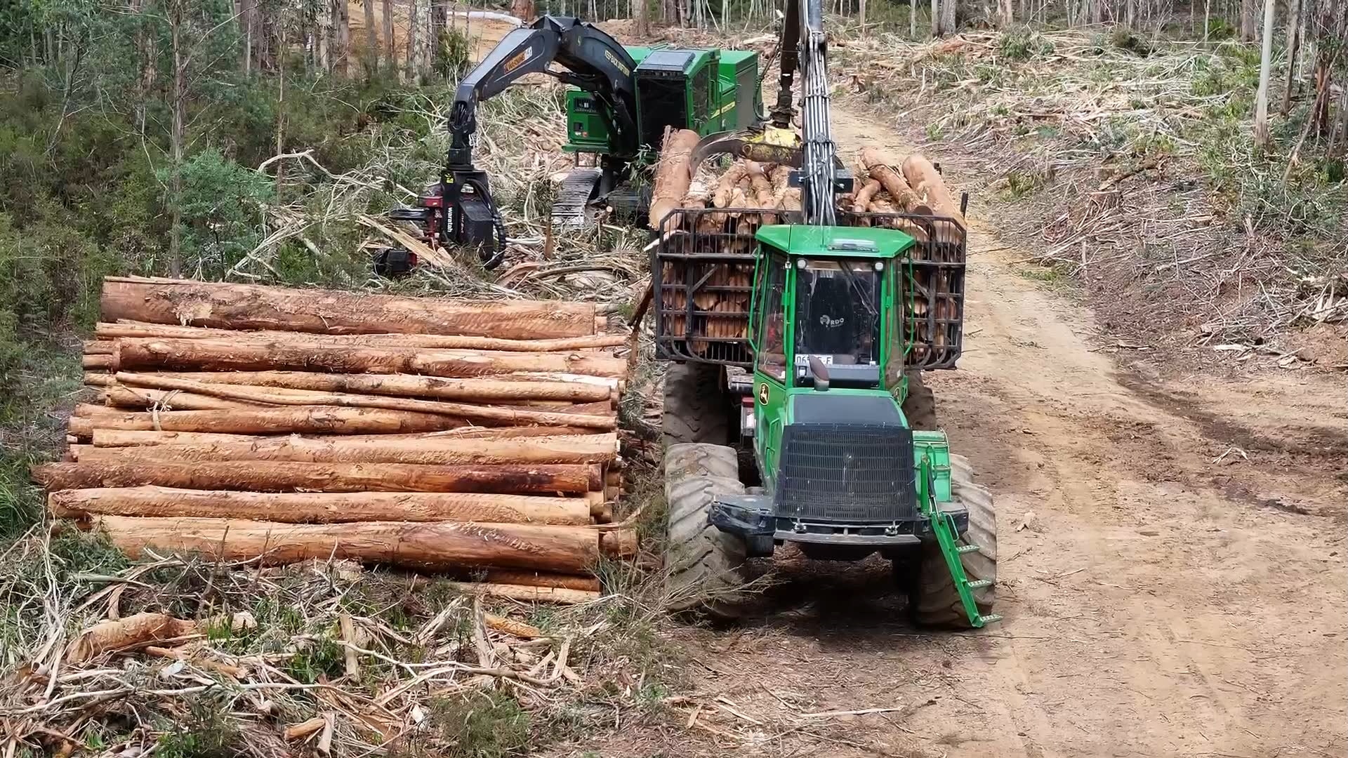 Forestry Corporation avoids environmental protections by calling logging 'road maintenance'