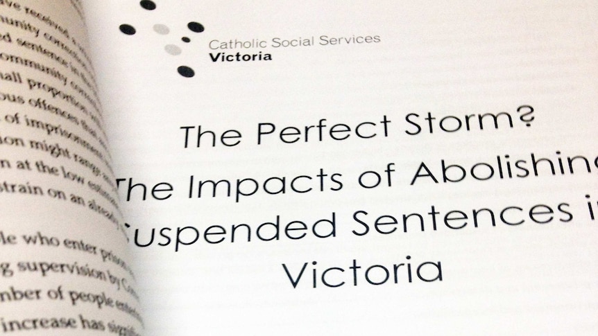 'Perfect storm' sentencing report