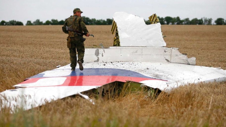 A soldier walks on a section of a downed plane.