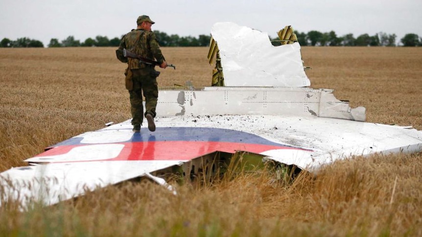 MH17 wreckage