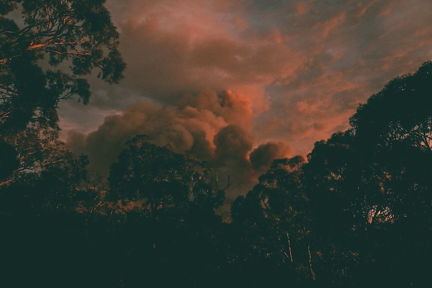 Red smoke above gum trees in hills