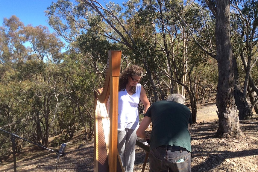 A woman holds a harp in bushland while a man bends over a table in front of her with a microphone set up to the side