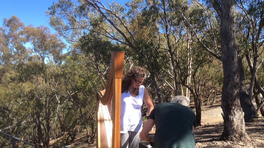 A woman holds a harp in bushland while a man bends over a table in front of her with a microphone set up to the side