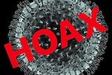 A graphic showing the coronavirus with the word "hoax" written across the front.