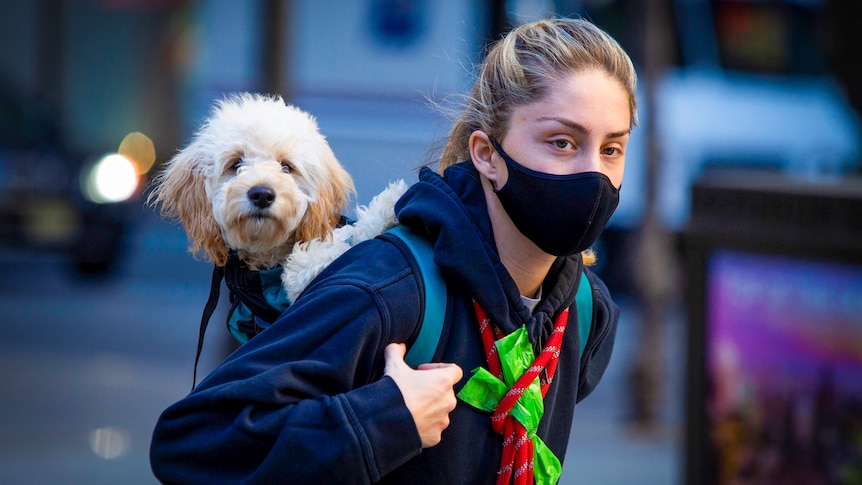A woman in a black cloth mask holds a fluffy dog in a backpack