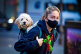 A woman in a black cloth mask holds a fluffy dog in a backpack