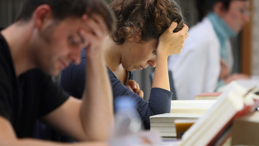 Students studying