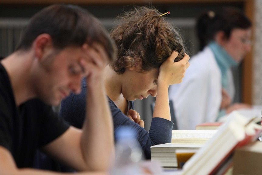 Students studying