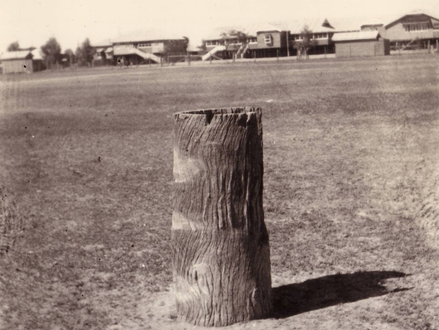 An old photograph of a small tree stump, surrounded by bare dirt with old building in the background.