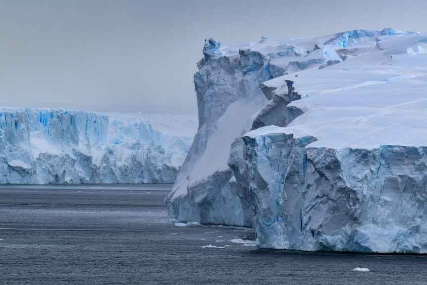 Giant canyon discovered underneath Vanderford Glacier in Antarctica,  revealing more history rising sea levels - ABC News