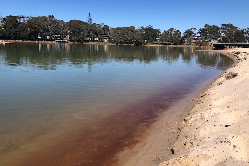 The sandy foreshore of a lake, with red sediment showing.
