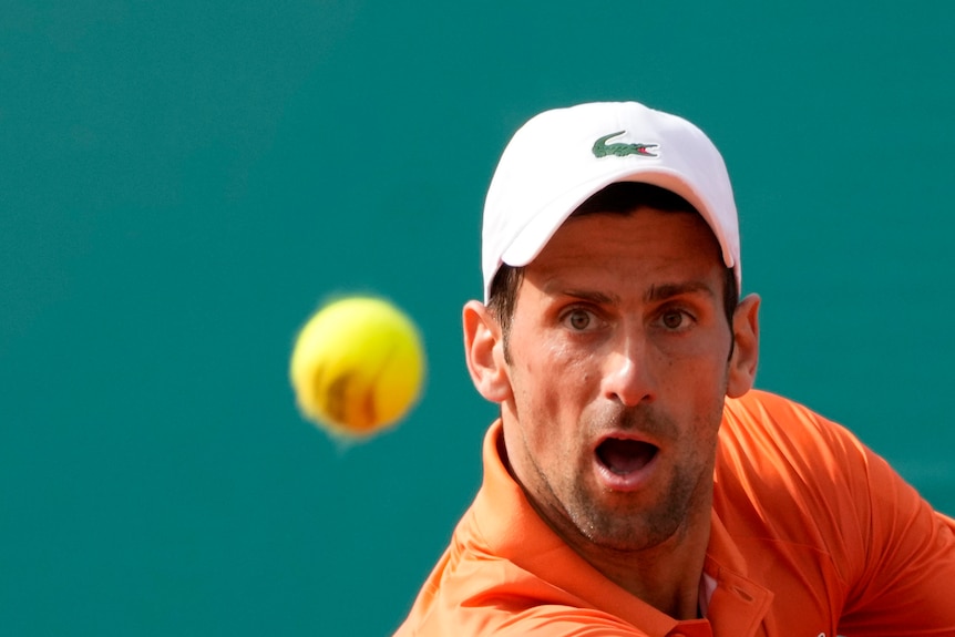 Tennis player Novak Djokovic wears a hat and stares at a tennis ball in mid air during a match.