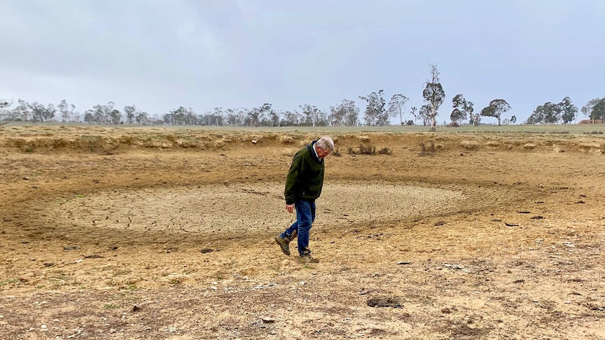 Dry dam in bare paddock, brown and dead vegetation. Farmer in middle of dam on cracked surface.