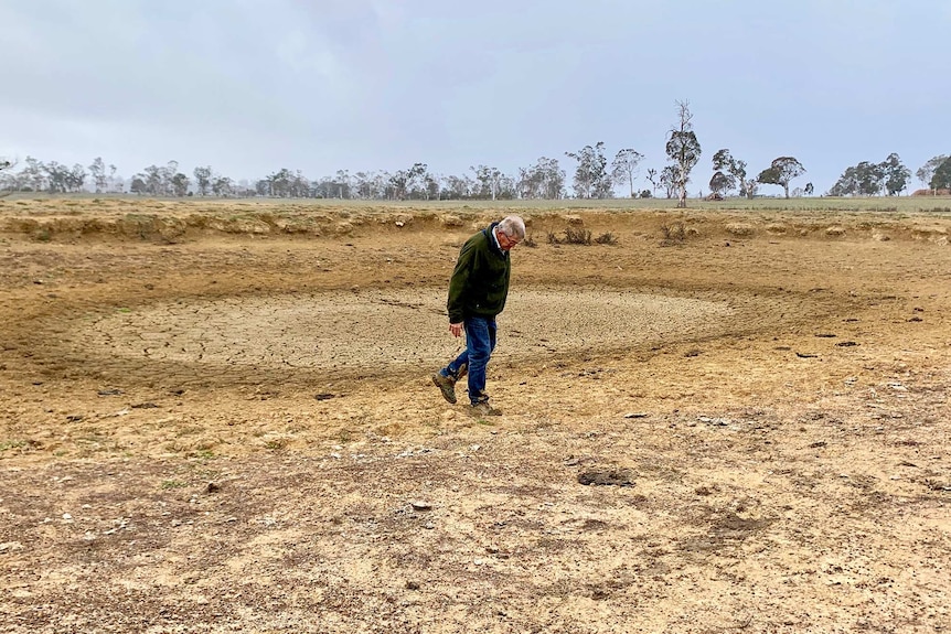 Dry dam in bare paddock, brown and dead vegetation. Farmer in middle of dam on cracked surface.