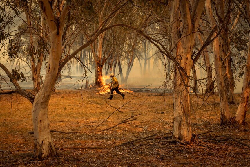 A firefighter runs in golden trees
