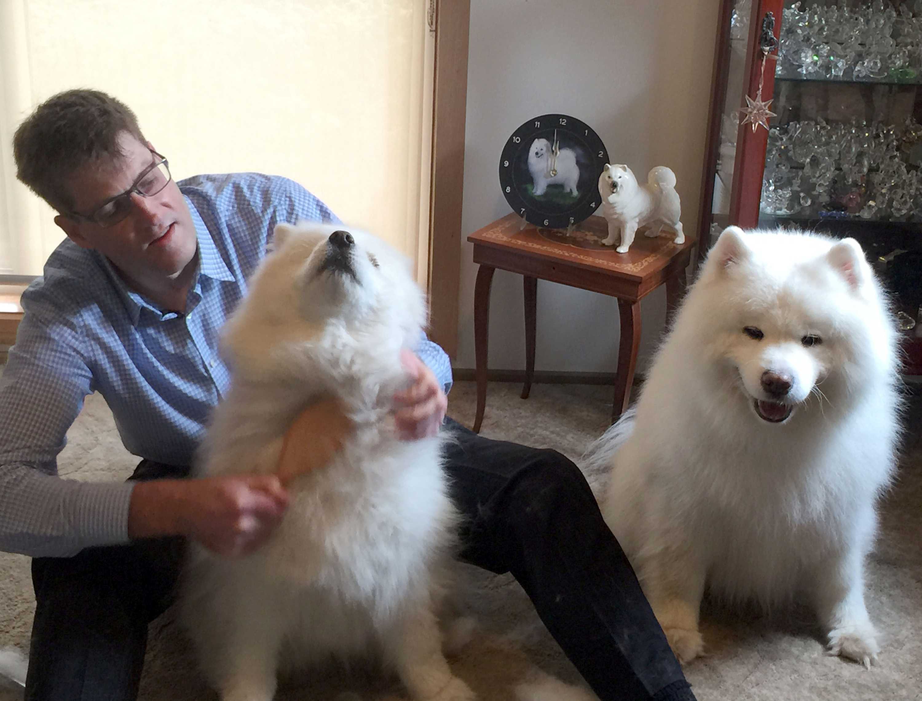 How To Keep Dog Hair Off Of Clothes