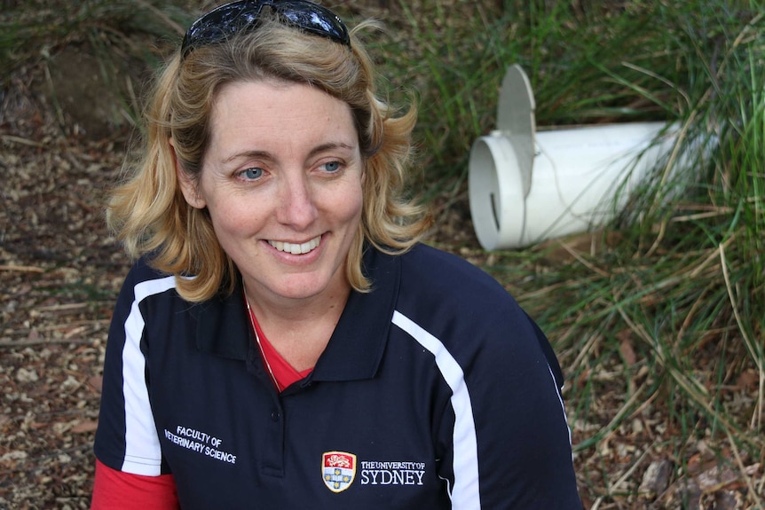 Dr Carolyn Hogg researcher for Australasian Research Genomics program