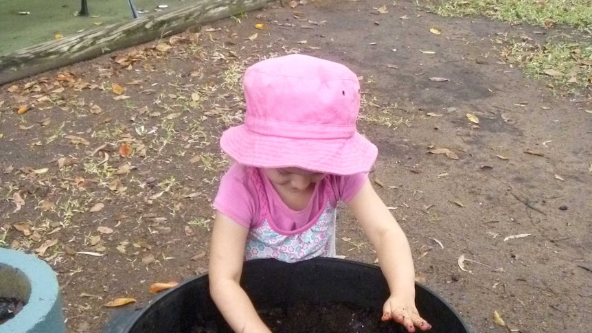 a child in a pink sun hat touches the soil in a worm farm