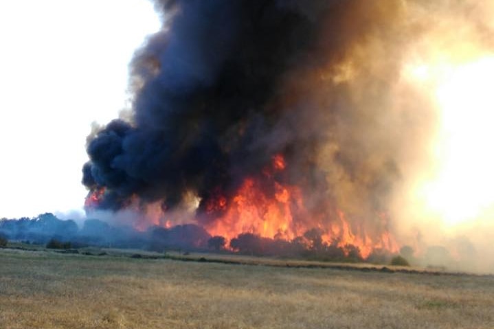 A wall of flame engulfs trees in a bushfire burning in Merivale east of WA town of Esperance.