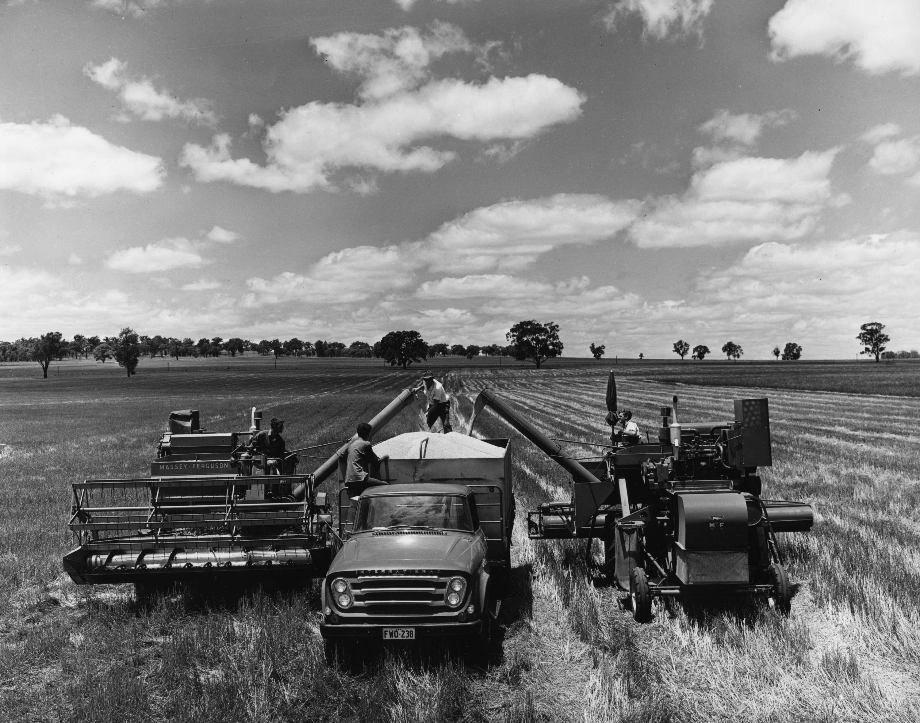 Seven Decades Of Farming: Australian Agricultural Policy, Passion And ...