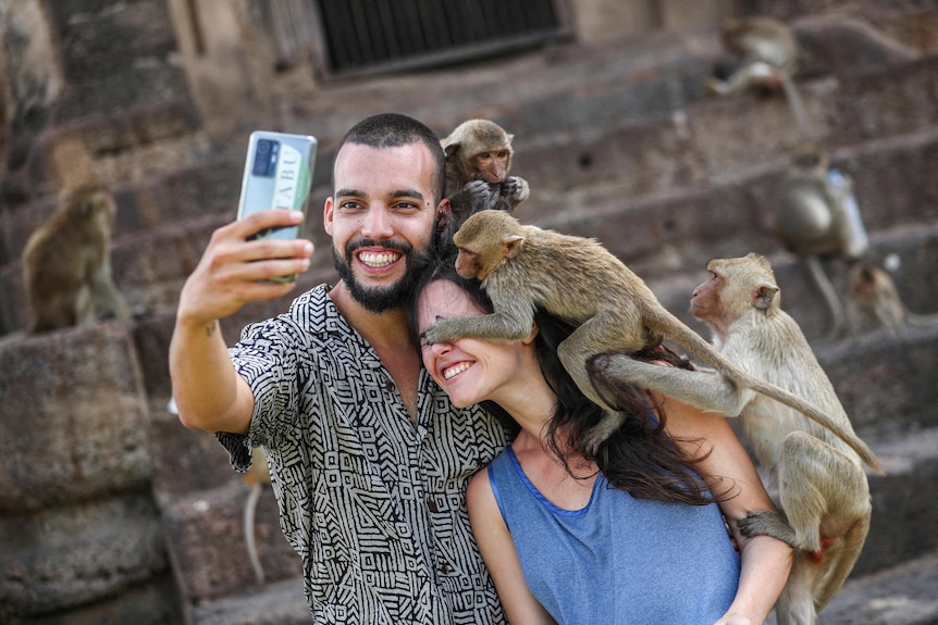 Three macaques climb on a couple trying to take a selfie, with one monkey covering the eyes of the woman