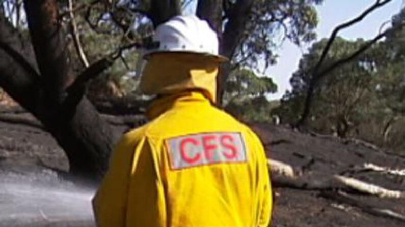 CFS dealt with fire emergencies near the TDU route