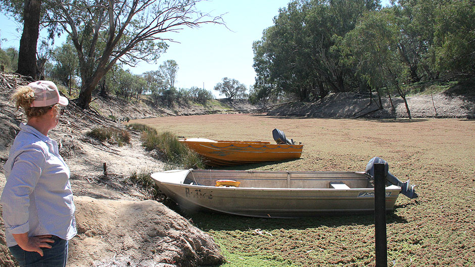 The weir at Kallara Station, which is being choked by plants due to the dry weather.