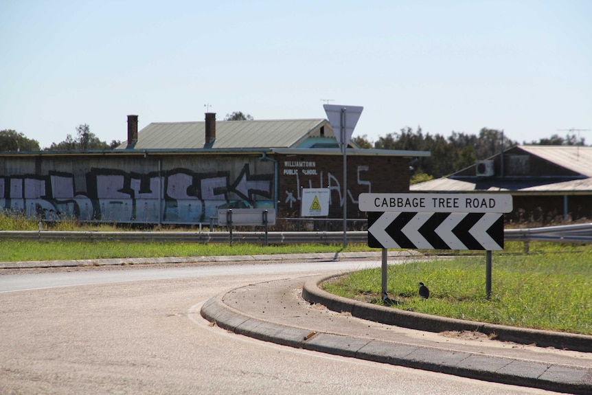 road sign for Cabbage Tree Road on the left hand sign pointing down the road