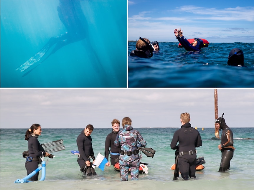 More Australians embrace 'magical' underwater world of freediving and ...