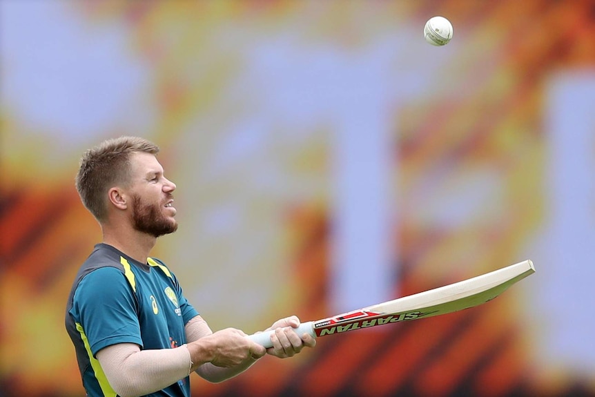David Warner holds hit bat out and hits the ball up and down.