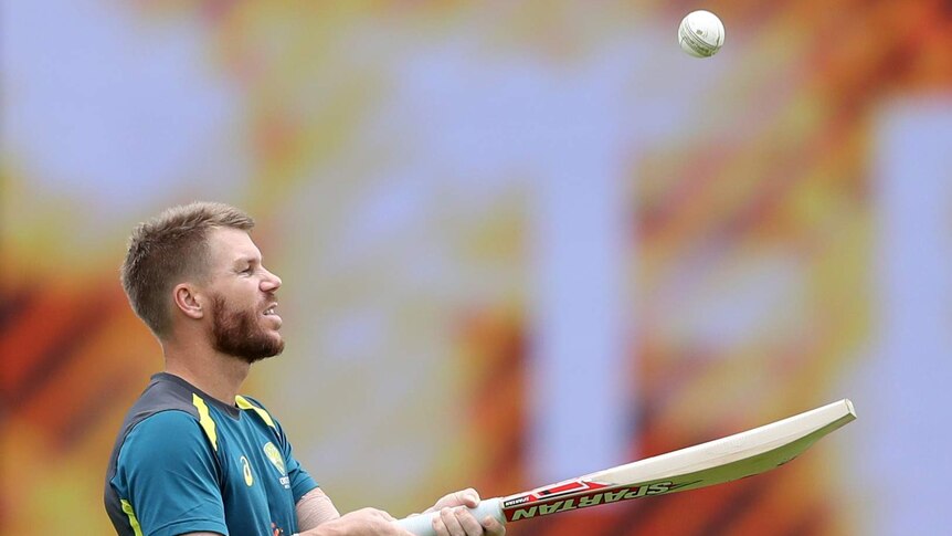 David Warner holds hit bat out and hits the ball up and down.