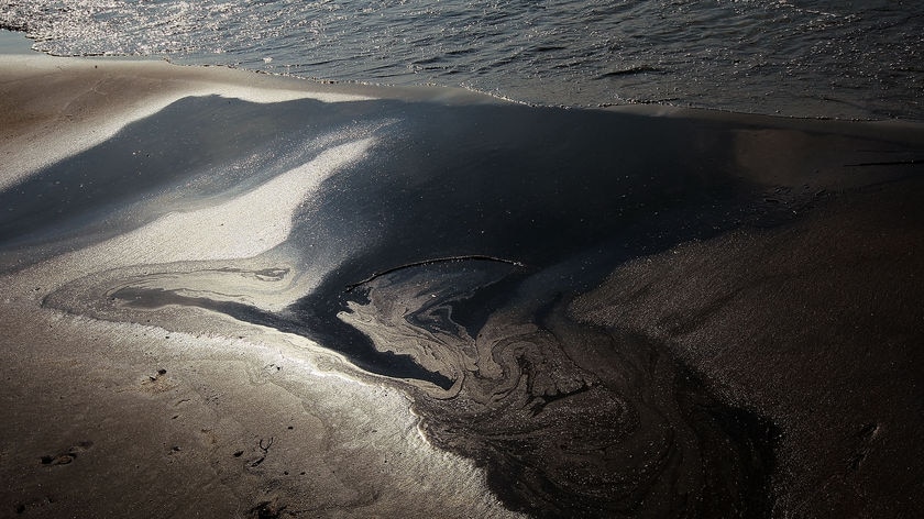 US government officials estimate 35,000 to 60,000 barrels are gushing from the well each day