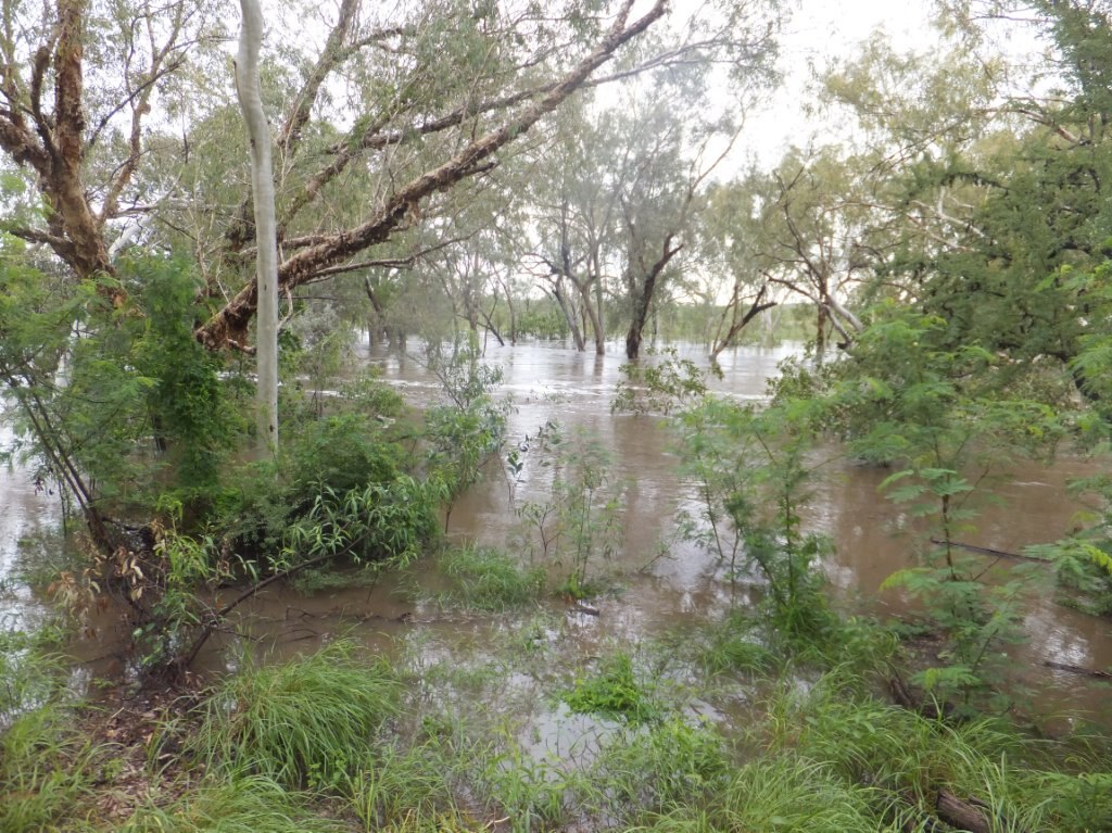 Cattle station evacuated as Cyclone Fletcher forms - ABC News