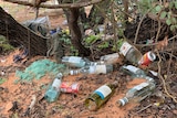 Empty Alcohol bottle in the bush.