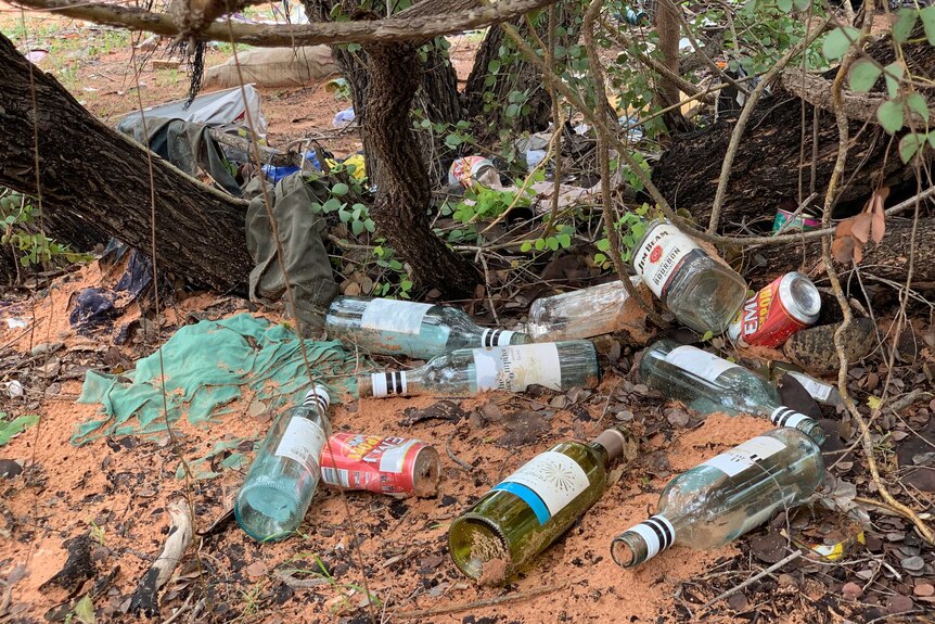 Empty alcohol bottles in the bush.