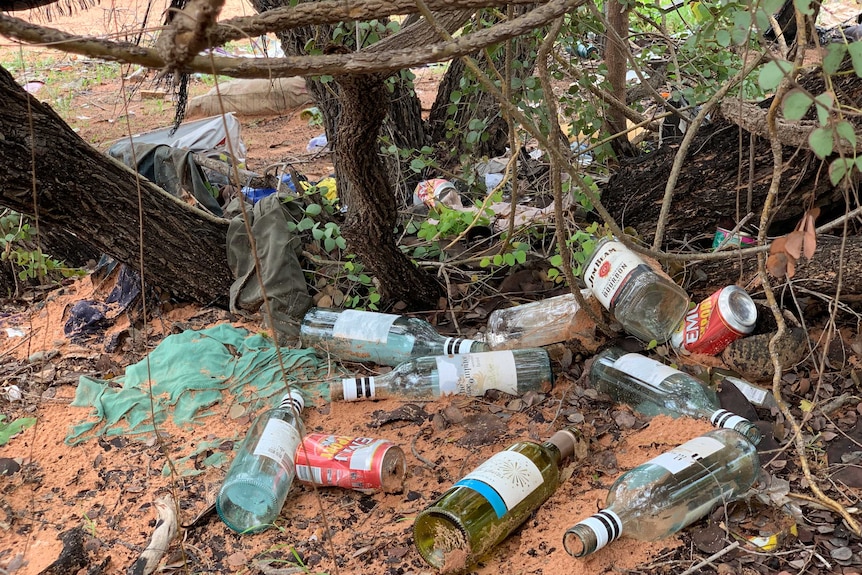 Empty Alcohol bottle in the bush.