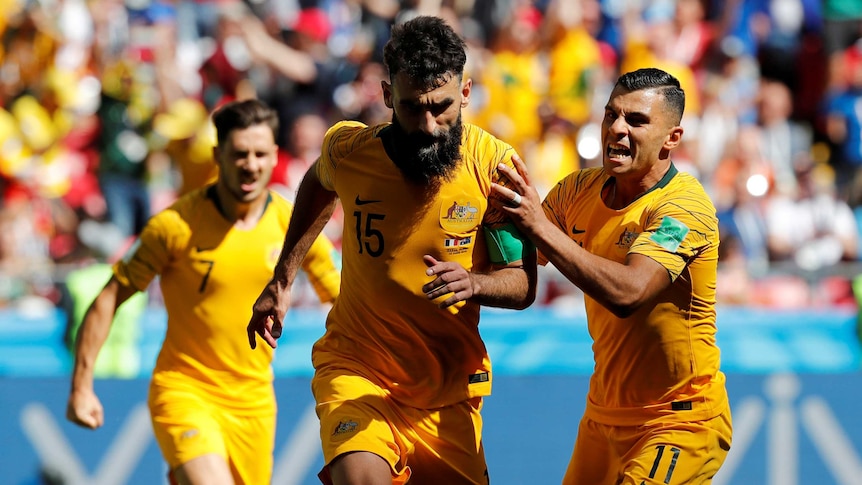 Mile Jedinak celebrates goal against France