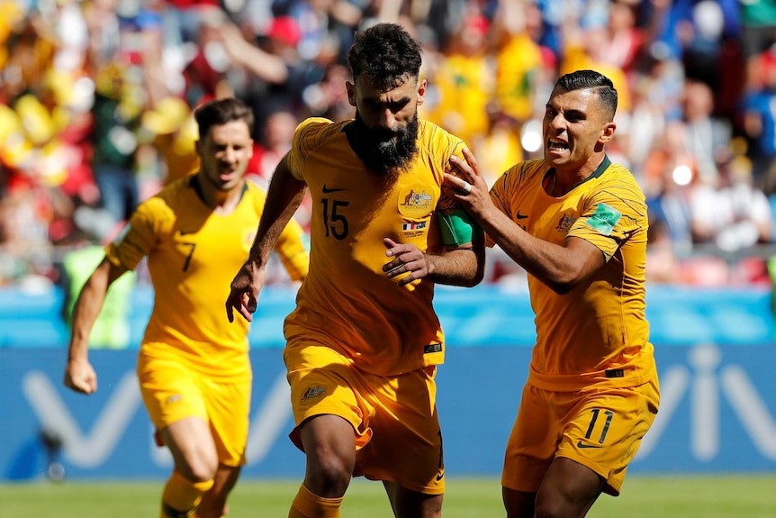 Mile Jedinak celebrates goal against France