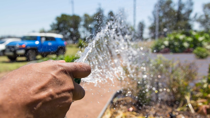 Water sprays from a hose onto a garden.