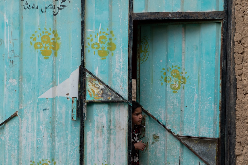 a little girl peers from behind large wooden doors painted blue