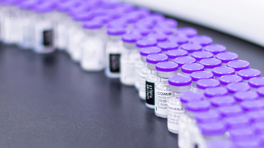 Vials of vaccines stack up along a conveyor belt