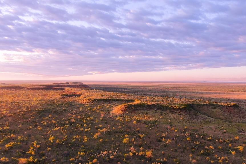 A drone shot of the a rocky field. 