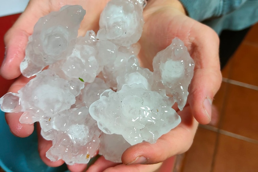 Large pieces of hail being held in an adult's hands